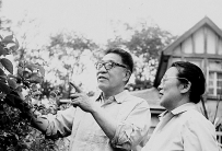 老地委书记岳林点燃的火炬