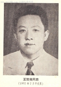 崇敬岳飞  易名若飞