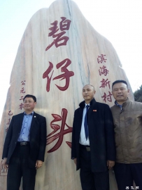 碧仔头村情简介