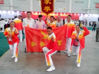 岳家拳武术队亮师武汉！