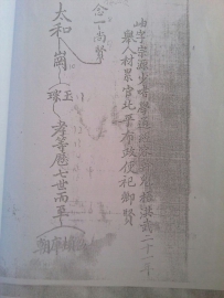 望宗亲踊跃参加评估，我的身世基本有点眉目了