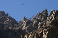 [转帖]贺兰山的秘境之旅