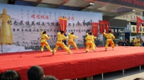 纪念民族英雄岳飞收复新乡888周年盛况掠影（岳家拳二）