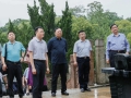 岳飞后裔考察团一行来我区调研