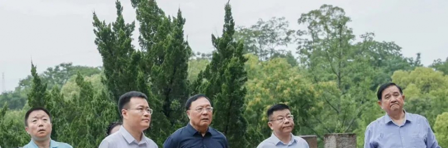岳飞后裔考察团一行来我区调研