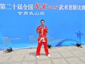 传承精忠文脉，公益传授岳家拳——面向全国岳氏后裔免费培训公告