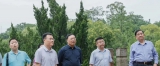 岳飞后裔考察团一行来我区调研