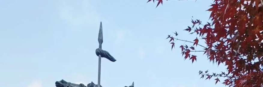 宜兴街头的“岳飞元素”
