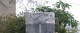 寻根问祖