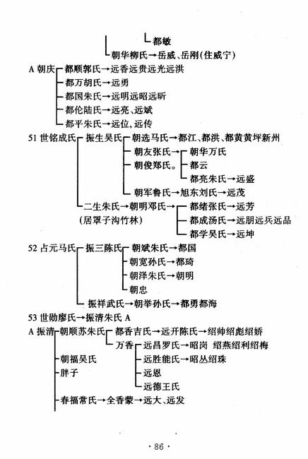 图像-96.JPG