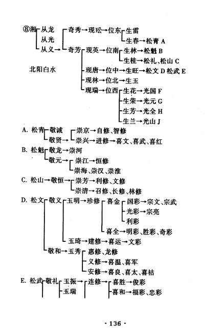 图像-146.JPG