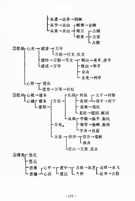 图像-187.JPG