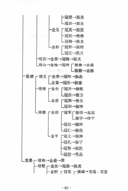 图像-91.JPG
