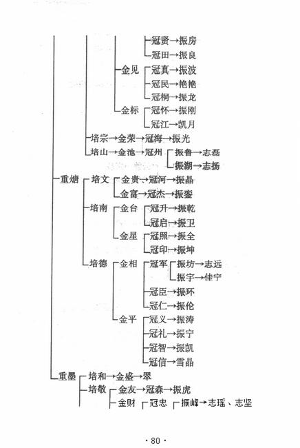 图像-91.JPG