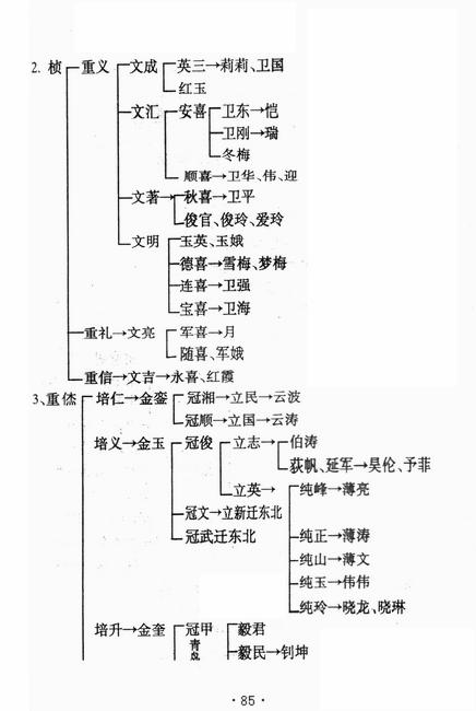 图像-96.JPG