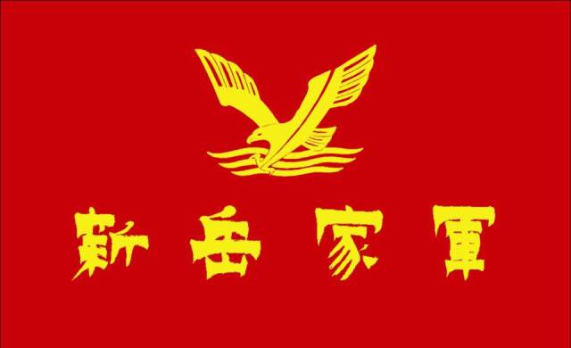 岳家拳武术队队旗.jpg