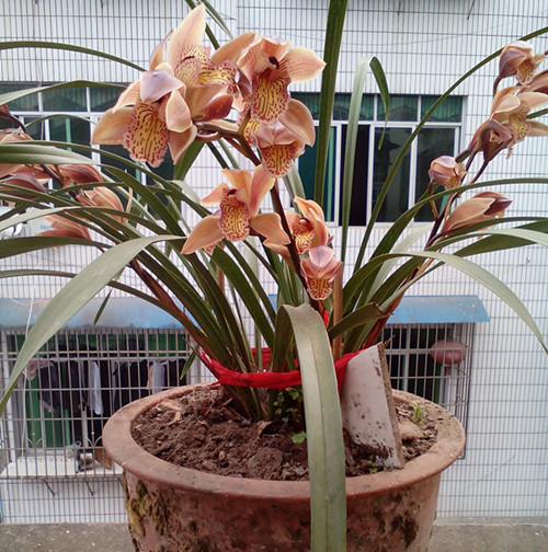QQ图片20160227185829.jpg