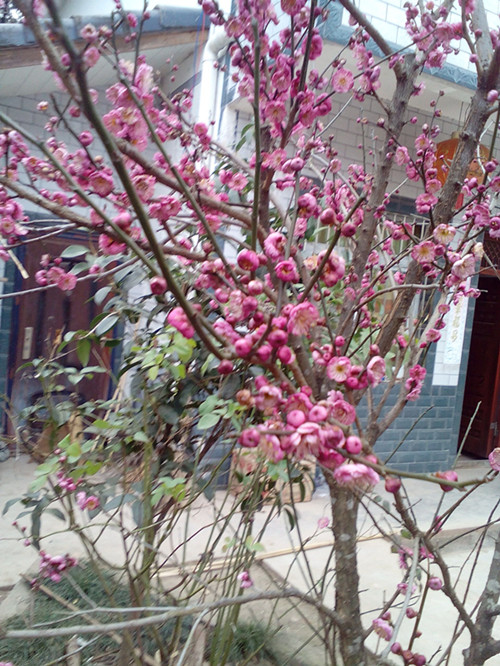 QQ图片20160227185834.jpg