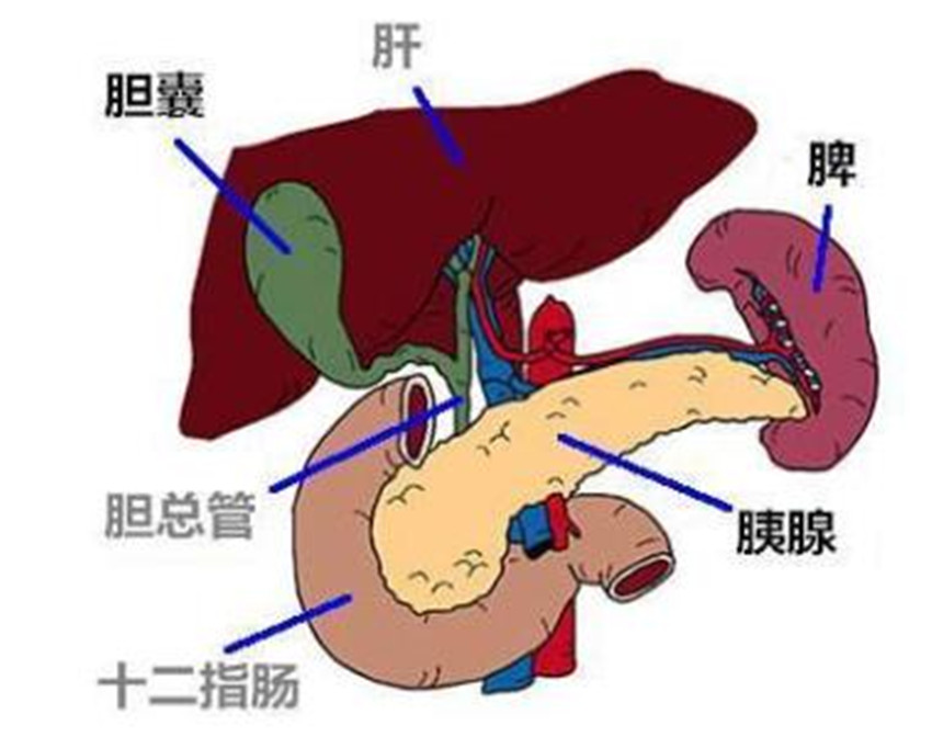 u=3120569638,5874165&amp;fm=23&amp;gp=0_副本.jpg