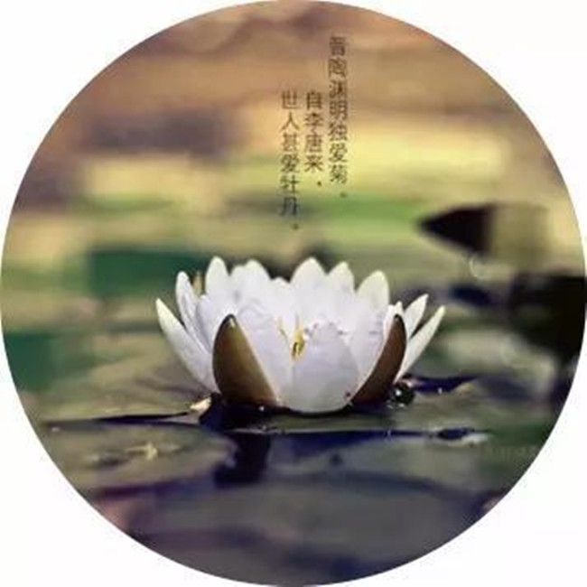 mp30366869_1441175262240_1_th_副本.jpg