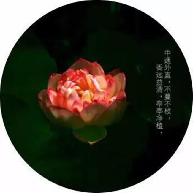 mp30366869_1441175262240_7_副本.jpg
