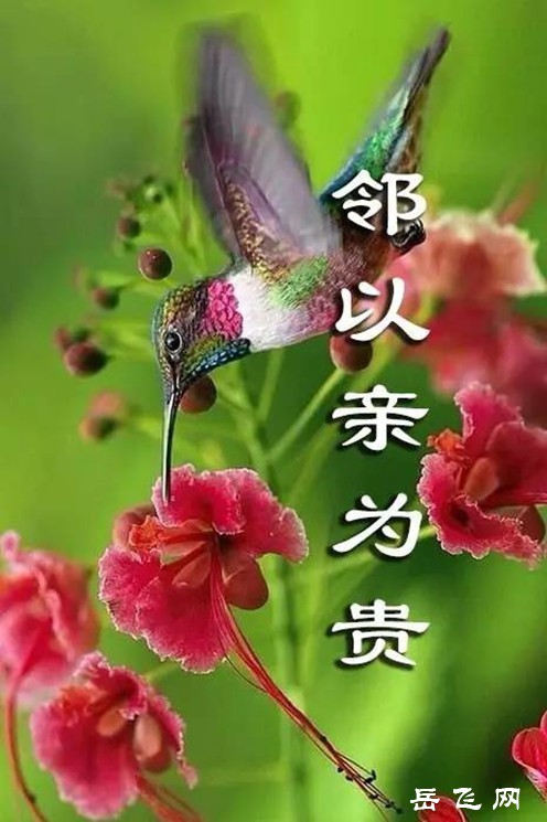 u=1165134869,492344860&amp;fm=173&amp;s=10CA4AFA1AF3F0DE04A5DA350300605F&amp;w=464&amp;h.jpg