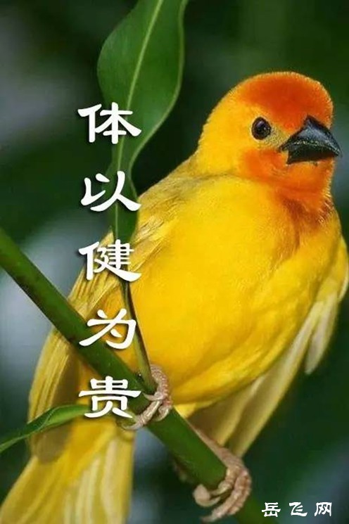e087f0943bec45d7a31ec6c66e054f07_th_副本.jpg