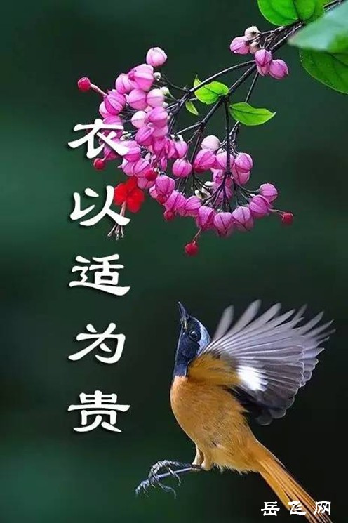 7428e8a4150244febff2e9273c5c0eb2_th_副本.jpg