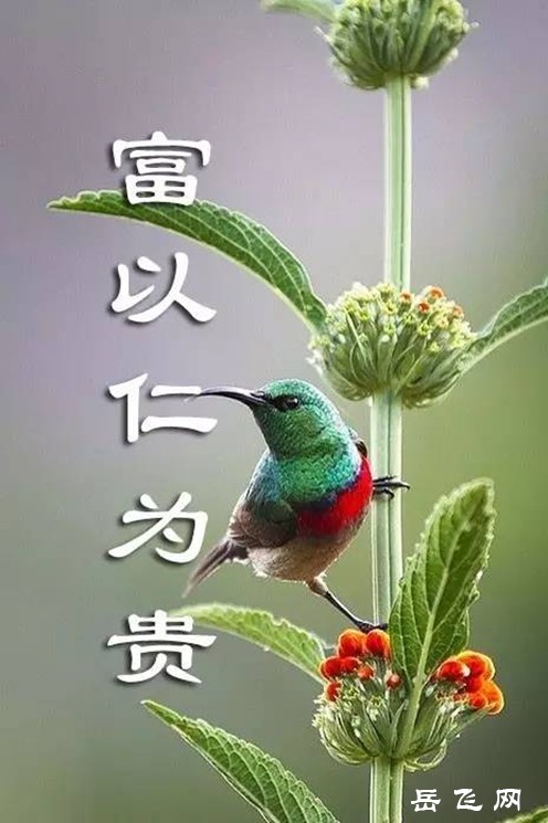 12d6055d79474cfdae1b1eccd9c36f83_th_副本.jpg