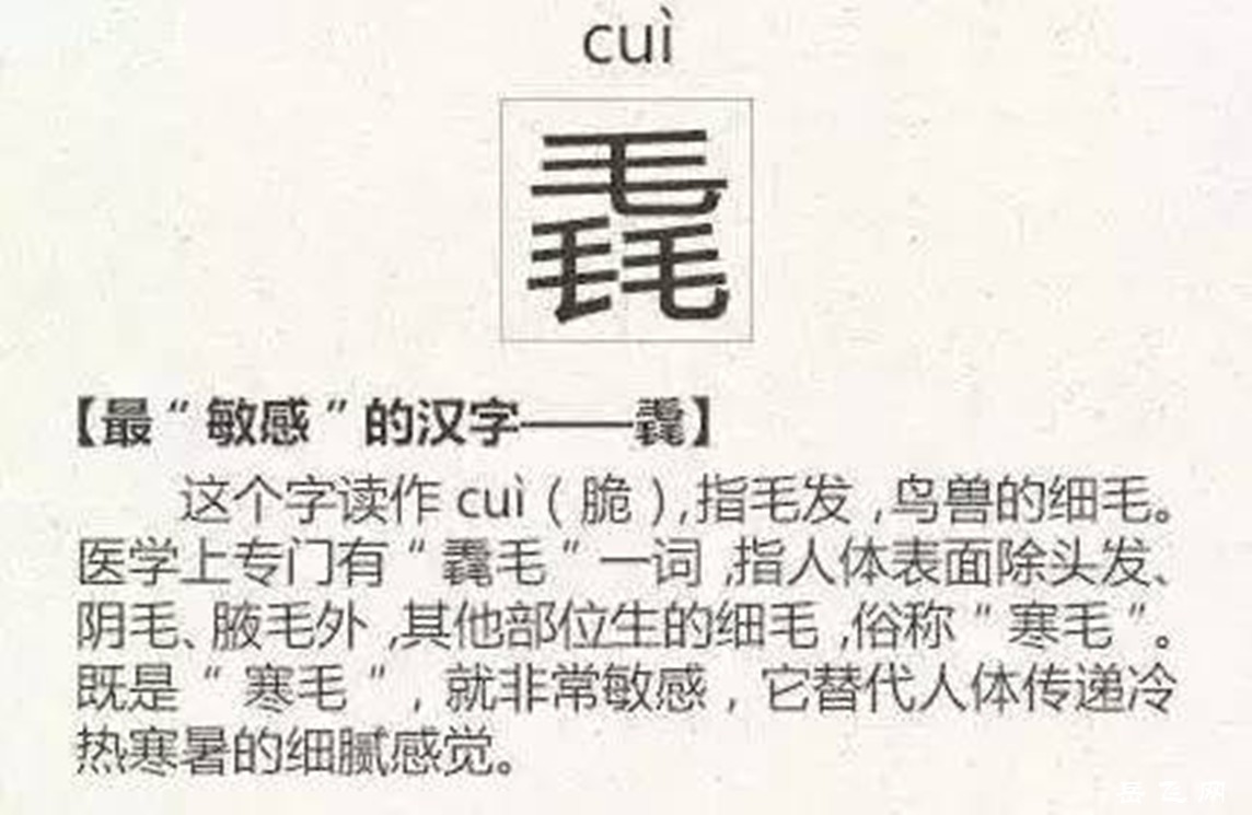 18d642470c9042dc9417c84aa0001b6f_th_副本.jpg