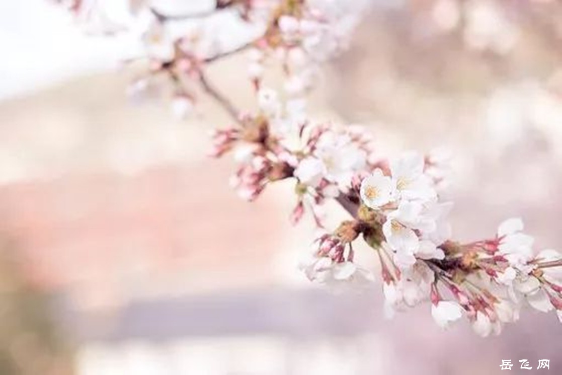 fc40796e34854150a5faffe15af3e96a_副本.jpg