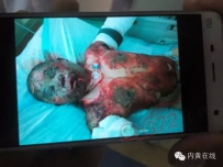 我们是岳飞的后人，我需要你们的帮助