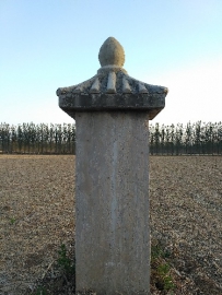 山东省微山县马坡镇西庄岳氏后人