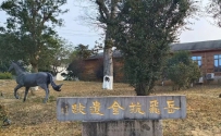 【特稿】岳家军，中国古代的“解放军