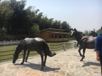 宜兴分会考察“岳飞行馆”