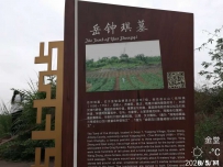 拜谒宁远大将军岳钟琪陵