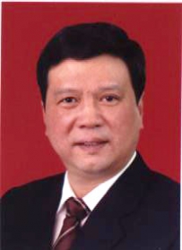 湖北省人民政府副秘书长 岳勇