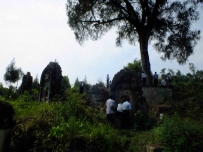 四川巴中青山岳家坪岳氏祠堂和古墓园保护完好