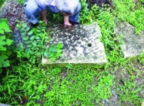 南京发现奇特“击鼓喊冤石”图案主角或为岳飞